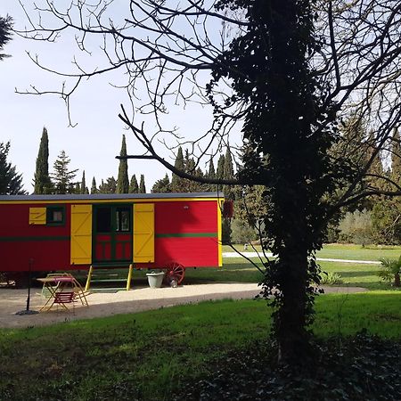 Remy A Dit Saint-Rémy-de-Provence Exterior foto